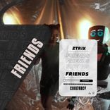 Artwork for "Friends"