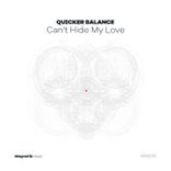 Artwork voor "Can't Hide My Love"