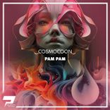 Artwork for "Pam Pam"