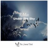 Artwork for "Under the Sky"