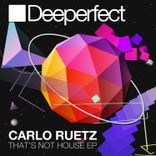 Artwork voor "That's Not House"