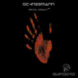 Artwork for "Brutal Assault"