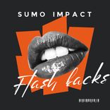 Artwork voor "Flashbacks"