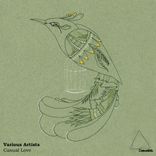 Portada para "Casual Love"