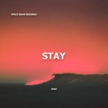 Artwork voor "Stay"