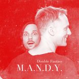 Artwork voor "Double Fantasy"