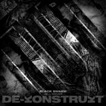 Artwork for "Black Swarm"