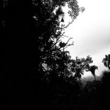 Tanzmania (Original Mix)