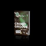 Artwork for "Crowd Groove"