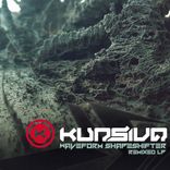 Artwork for "Waveform Shapeshifter Remixed LP"