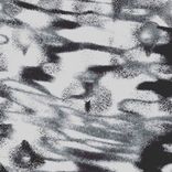 Artwork voor "Origin of Scale"