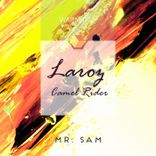 Artwork for "Mr. Sam"