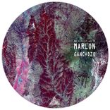 Artwork voor "My Extinct World"