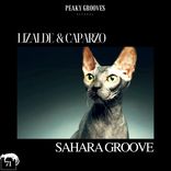 Artwork for "Sahara Groove"