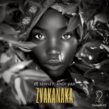 Artwork for "Zvakanaka"