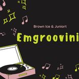 Artwork voor "Emgroovini"