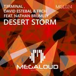 Artwork für "Desert Storm"