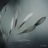 Artwork for "The Odyssey, Part 1"