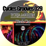 Artwork for "Black Cat"