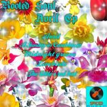 A Sunday in Casablanco