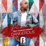 Portada para "Dangerous"