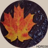 Artwork for "Be With You EP"