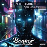 Artwork voor "In The Dark"