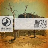 Artwork voor "Changes"