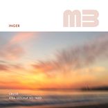 Xtra Fries No Ketchup