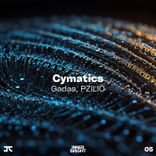 Portada para "Cymatics"