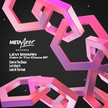 Artwork voor "Calm In The Chaos"