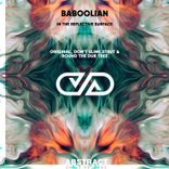 In the Reflective Surface