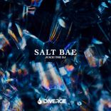 Artwork for "Salt Bae"