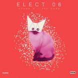Artwork for "Elect 06"
