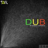 Artwork for "Dub"