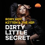 Artwork for "Dirty Little Secret (Remixes)"