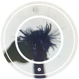 Portada para "Fatal Rumba"