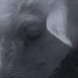 Artwork for "Vasarė / Love Can Be So Easy"