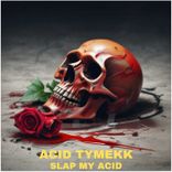 Portada para "Slap My Acid"