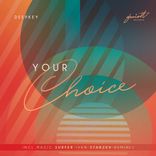 Artwork for "Your Choice"