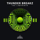 Artwork for "The Labyrinth"