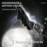 Artwork for "Looking Inside"