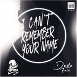 Artwork voor "I Can't Remember Your Name"