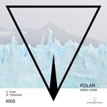 Artwork for "Polar"