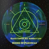 Artwork voor "Doors of Pakhwaji"