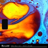 Artwork for "Static Bloom"