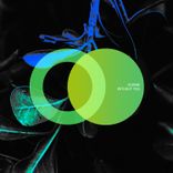 Artwork für "Without You"