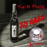 Artwork für "Fly Raven"