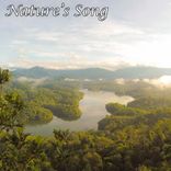 Artwork for "Wake Up Birds"