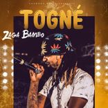 Artwork for "Togné"